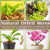 ZeeDix 2.2LBS Sphagnum Moss for Reptiles, 50QT Premium Dried Moss