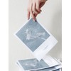 Vegetology Viniferine brightening mask 10 sheets / 비니페린 브라이트닝 마스크