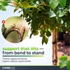 Anchor Bands for Trellising – 110-Pack 5 cm/1.96 in Rubber