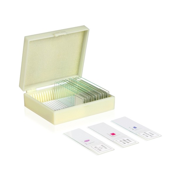 Walter Products B17107 Prepared Slide Set-Microbial World (Pack of 15)