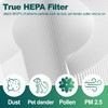 C545 HEPA Air Purifier Filter Replacement, Compatible with Winix C545