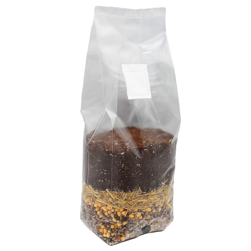 Mega Mix All-in-One Mushroom Grow Bag