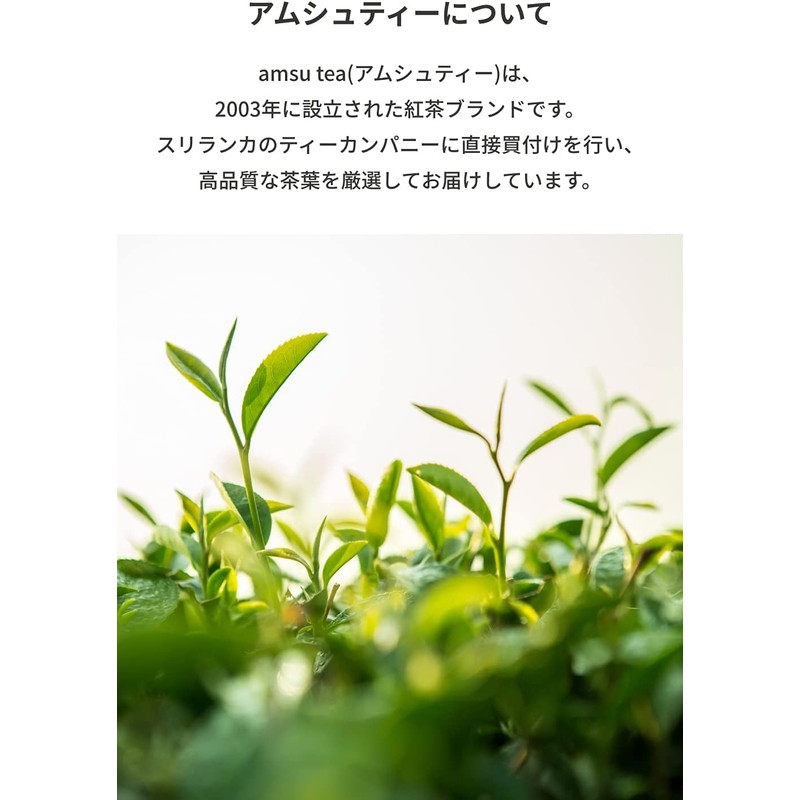 amsu tea Flavored Tea Pick Me Up Tea Bags 15
