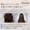 NAKASHO TSconc ヘアミスト (100ml / 髪用) トステア 100% 原液 トリートメント