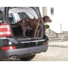 Foliatec 34125 Paint Protective Film Bumper Sill, Protects Your Bumper
