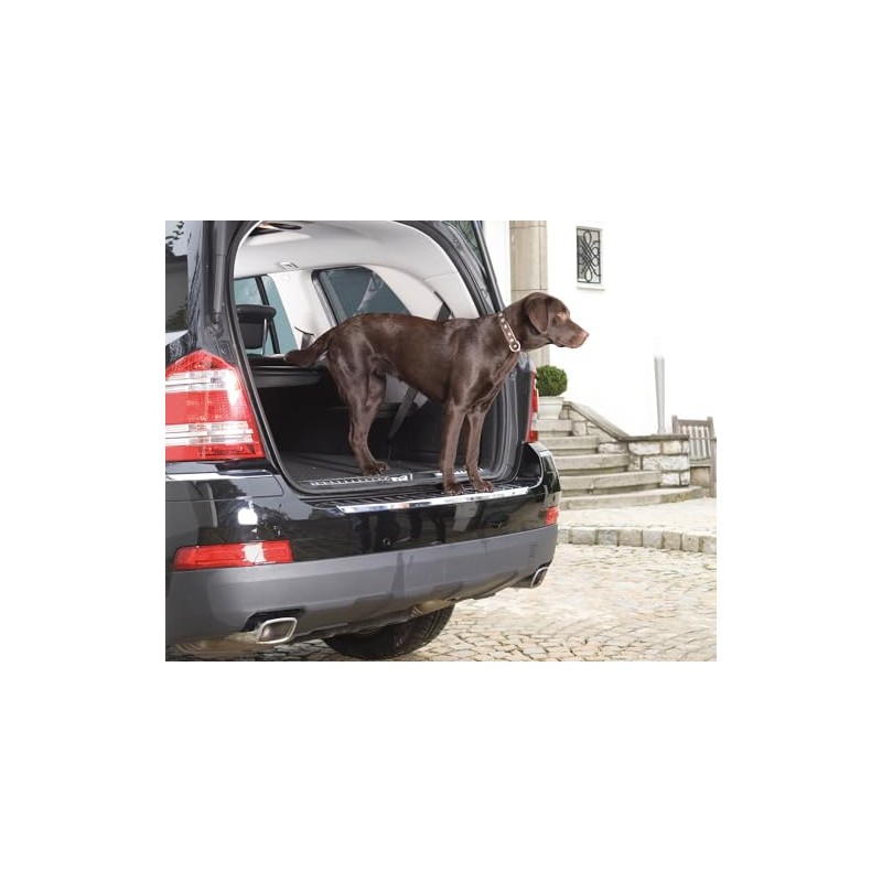 Foliatec 34125 Paint Protective Film Bumper Sill, Protects Your Bumper