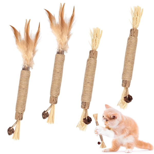 ZPLASK 4 PCS Catnip Toys for Cats, Cat Toy, Interactive