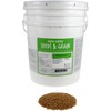 Organic Triticale Seeds- 30 Lbs- Triticale Grain Seed: Sprouting Sprouts,
