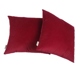 LEIFANTIYA 18 x 18 Inches Burgundy Square Throw Pillow Cover Set of 2, Super Soft Velvet Pillowcase with Hidden Zipper, Washable Pillow Cover Perfect for Bedroom, Livingroom, Office and Car