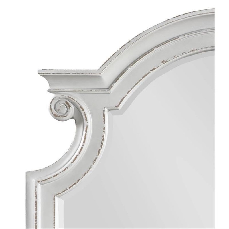 Acme Florian Wooden Arched Frame Mirror with Beveled Edge in