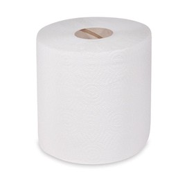 VEPATIM 1 Roll Kitchen Rolls Large Roll XXL 2-Ply Diameter 19 cm 19 cm x 100 m Every 22 cm Perforated