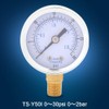 Low Pressure Gauge, 0-30psi 0-2bar Mini Dial Hydraulic Pressure Gauge,