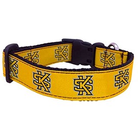 College Dog Collar (Small, Kennesaw State)