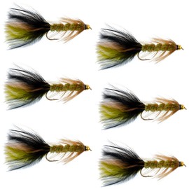 The Fly Fishing Place New Mint Bead Head Krystal Woolly Bugger Classic Streamer Flies - Set of 6 Trout Fly Fishing Flies - Hook Size 4