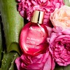 kuraransufikkusumeikuappu < < 50ml >