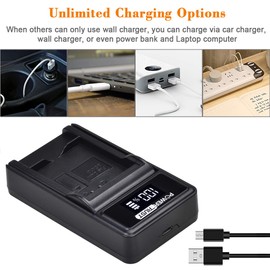 PowerTrust 2Pcs DMW-BCN10E DMW-BCN10 BCN10 BCN10E Battery and LED USB Charger for Panasonic Lumix DMC-LF1 DMC LF1 DMC-LF1W LF1K