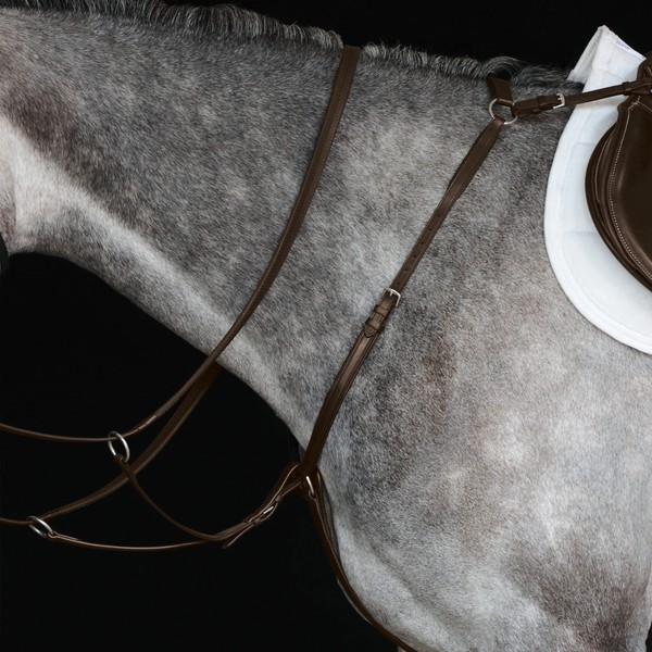 Collegiate Hunter Breast Plate IV, Brown, Cob