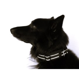BUDDYPACK Extra Wide Dog Collar with Reflective Stripes, Soft Neoprene Padding, Size XXS-3XL, Adjustable (M (44-49 cm), Black