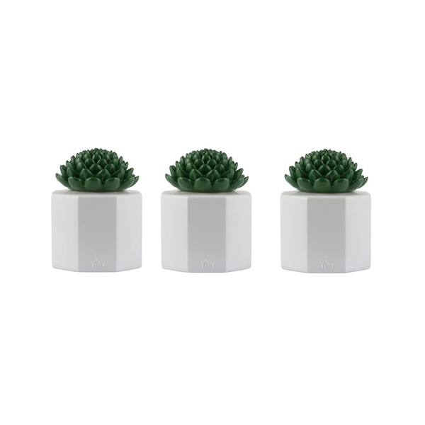 TIKI Brand 3-Pack Table Torch Glass Succulent White - Outdoor Table Top Lighting for Patio Lawn Backyard, 5.5 in, 1120165