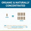 True Veda True Veda Digestion Bundle USDA Organic | Multi-Award-Winning