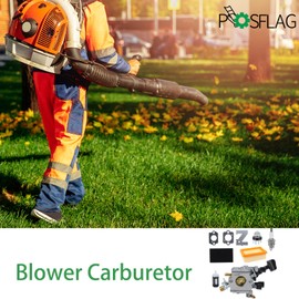 POSFLAG BR430 Carburetor with 4223 141 0300 Air Filter for Stihl BR350 BR430 SR430 SR450 Backpack Blowers Replaces C1Q-S210 C1Q-S210B C1Q-S209C
