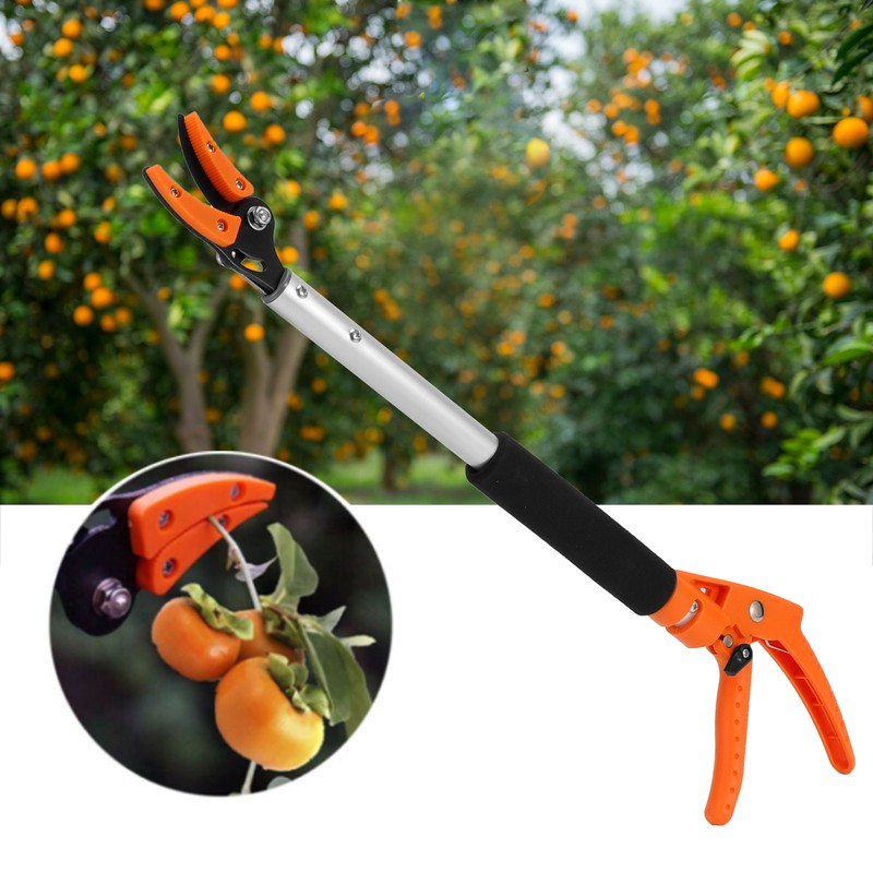 Fruit Picker Scissors Cutter for Grapes Peach Branch Pruning Shears