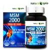 MSM 2000 Dietary Sulfur for Joint, Knee, and Cartilage Health