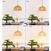 Plug In Pendant Light Hanging Lights With Plug In Cord