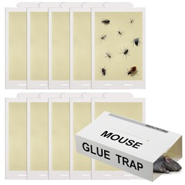Qualirey 10 Pack Sticky Mouse Traps, Pro Strength Mouse Glue Board Indoor for Home, Glue Traps for Mice and Insects, Peanut Butter Pre-Scented and Non Toxic,Indoor Pest Control, 8 X 5.5 Inch