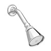 HELVEX Regadera Optima con Brazo Chapeton H-200 Accesorio
