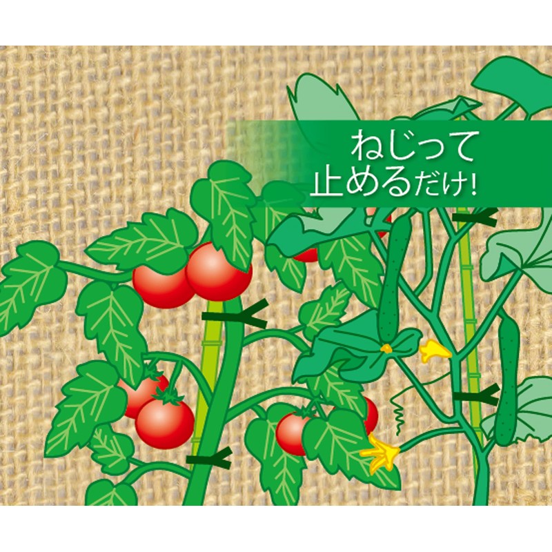 Takagi Vinyl Ties for Gardening, 5.9 inches (150 mm) x