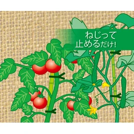 Takagi Vinyl Ties for Gardening, 5.9 inches (150 mm) x 100 Sticks