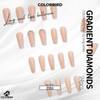 COLORBIRD Z061 Long Nail Tips, 24 Pieces, Pink, Nail Tips,