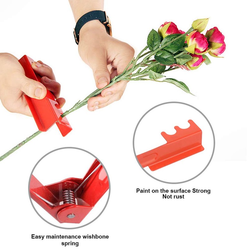 4PCS Garden Pruning Shears Scissors Kit, Rose Thorn Remover, Tree