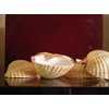 24 Large Mexican Deep Scallops 3" - 3 1/2" Baking