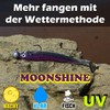 Paradox Fishing Moonshine Zander Rubber Fish Set of 5 13