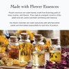 evanhealy Blue Lavender Cleansing Milk | Soothe & Calm Reactive
