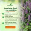 Outsidepride Lavender Blue Giant Hyssop Seeds for Planting - 2000