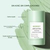 Bluemega Mascarilla de Arcilla de Artemisa, Adecuado para Pieles Sensibles
