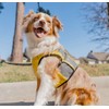Gooby Safety Vest - Reflective Pullover Dog Vest for Small