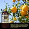 Yakami Orchard 100% Pure Japanese Yuzu Juice, 12 Ounce (Pack