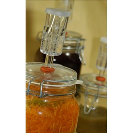 Pickl-It Original Fermentation Lid Kit Convert 'Fido' Jars For Anaerobic Pickling