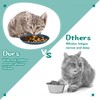 Gerrii 6 Pieces Shallow Cat Food Dish, Whisker Friendly, Lightweight,