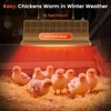 HEYOUTH Heat Lamp Chicken, Chicken Coop Heater, Professional Heat Heater