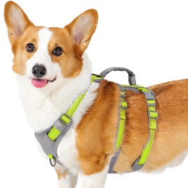 Huntboo Safety Harness Dog Escape Proof, Panic Harness for Dogs, Reflective Dog Harness with Handle, Adjustable Dog Harness for Small, Medium and Large Dogs (Light Green, M)
