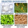Sunscreen Setting Powder SPF 50 +,Translucent Mineral Sunscreen with Brush