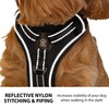 Elite Paws® UK: Premium Metal Buckle Dog Harness, Strong, Safe,