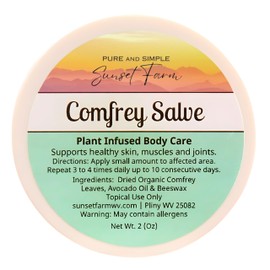 Comfrey Salve | Organic, Non-GMO, Small-Batch Herbal Balm | Family Made in WV | 2 oz Jar