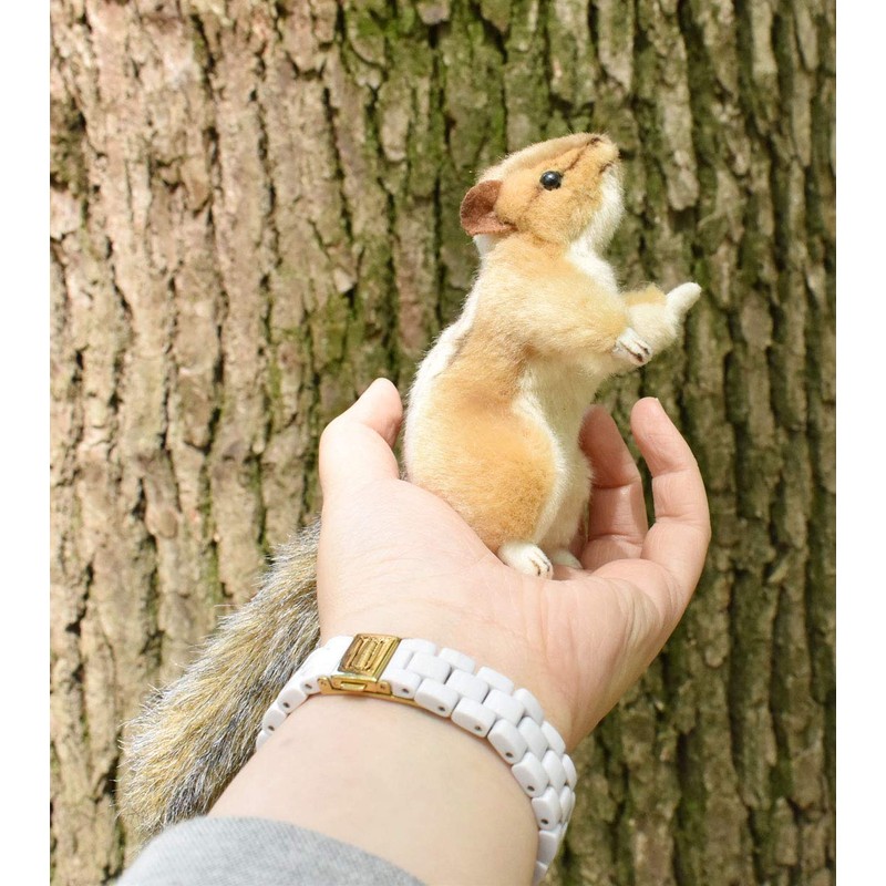 BH4832 HANSA シマリス12