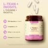 Teanina Inositol 120 Capsulas 500mg Meses Vitalbotanics Multivitaminico Glutamina Suplementos